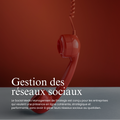 Gestion des réseaux sociaux